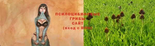 героин Верея