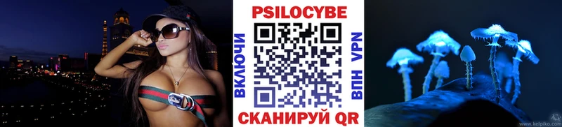 сколько стоит  Славянск-на-Кубани  Псилоцибиновые грибы Psilocybe 